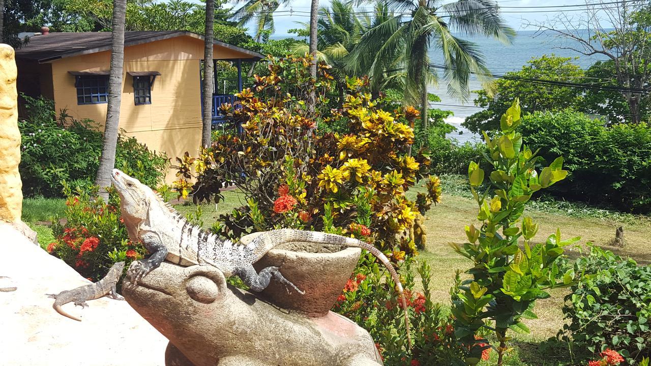 Hotel Los Mangos Montezuma Exterior photo